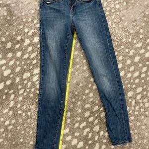 Banana Republic Blue Skinny Jeans with Classic Fit